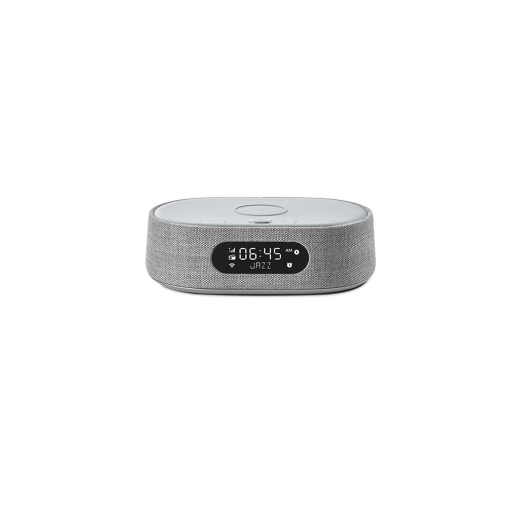 Harman Kardon Citation Oasis - Mini-Speaker mit DAB+ - grau
