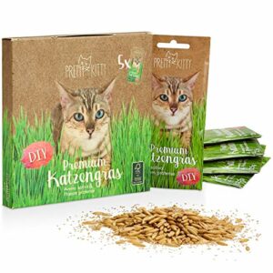 PRETTY KITTY Premium Katzengras Saatmischung: 5 Beutel je 25g Katzengras Samen für 50 Töpfe fertiges Katzengras – Eine grüne Katzen Wiese – Natürliche Katzen Leckerlies – Pflanzen Samen - Grassamen